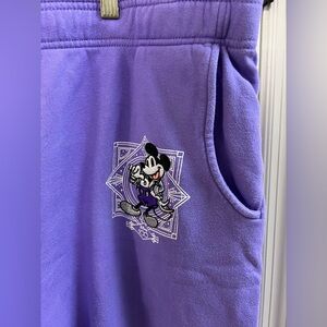 Mickey Mouse & Friends 100 Pullover Hoodie Walt Disney World purple sweats XL
